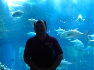 826 Me at Dubai Aquarium-Dubai Mall